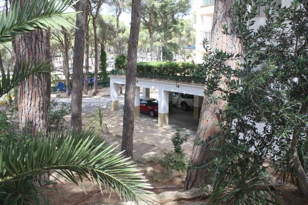 Precioso Apartamento Con Piscina. Pals Extérieur photo